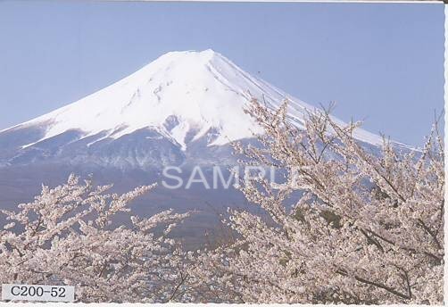 富士山春景色